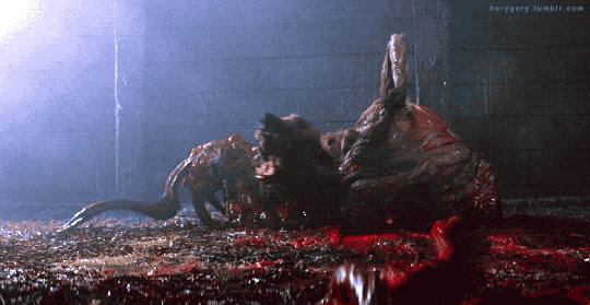 Archivo:Tgau7053fnug1.gif