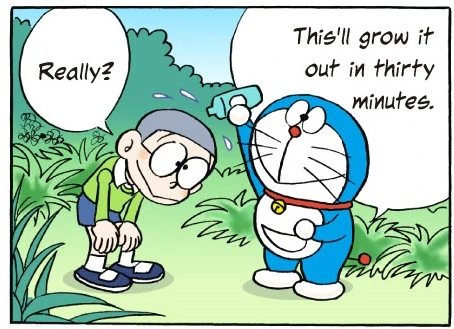 Archivo:Pelo.jpg