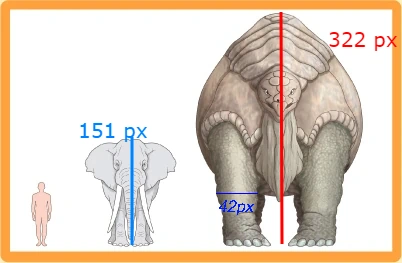 Archivo:Toraton height.png