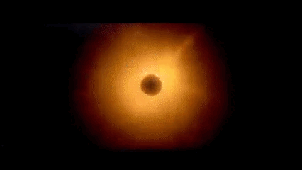 Archivo:Durisimo.gif