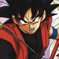 Xeno Goku