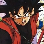 Xeno Goku