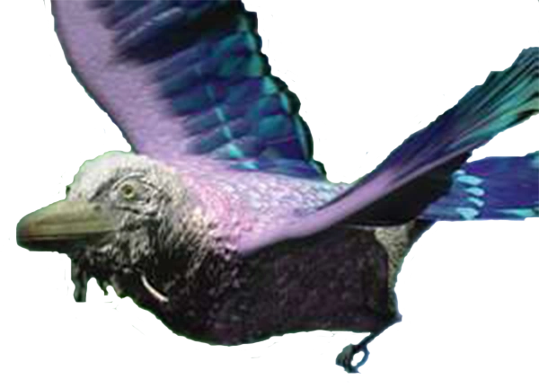 Archivo:Roachcutter.png