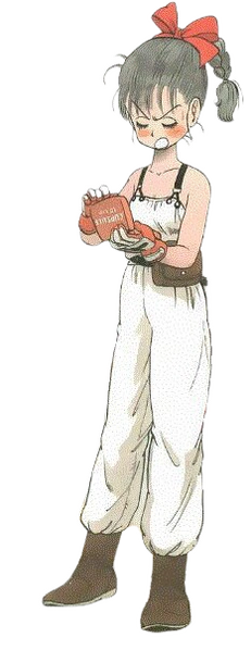 Archivo:Bulma 2.png