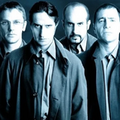 Los Simuladores