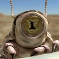 Cara de Grimworm