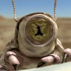 Archivo:Grimworm face.png