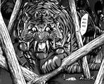 Tigre Asura