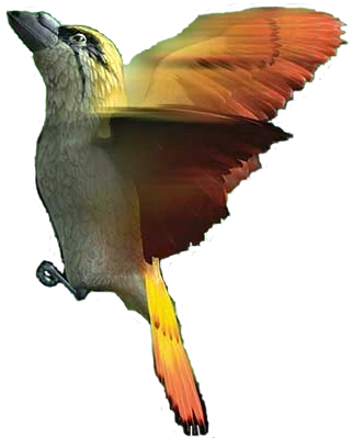 Archivo:Spitfire bird.png