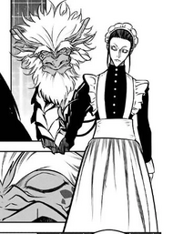 Cuerpo de maid