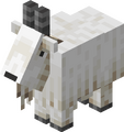 Cabra