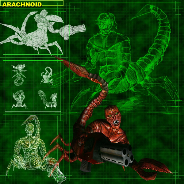 Archivo:Arachnoid concept.webp