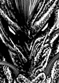 Heracles