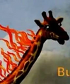 Burning Giraffe