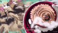 ¡Gomu Gomu no Cannonball!