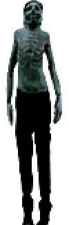 Archivo:Pale Visitor Window.png