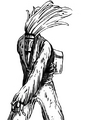 Cedre