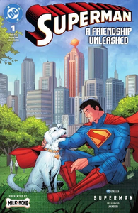 Superman: A Friendship Unleashed