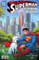 Superman: A Friendship Unleashed
