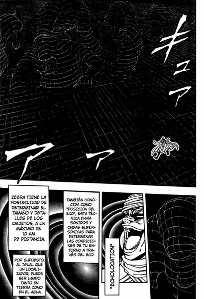 Archivo:Echolocation Echo Map (2).jpg
