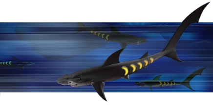 Archivo:Sharkopath.png