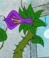 Las Flores de Dave