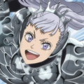 Acier Silva