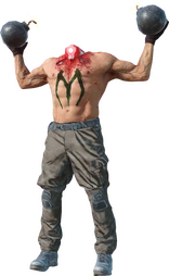 Kamikaze Decapitado