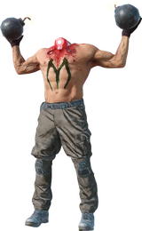 Kamikaze Decapitado