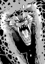 Octopard
