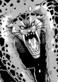 Octopard