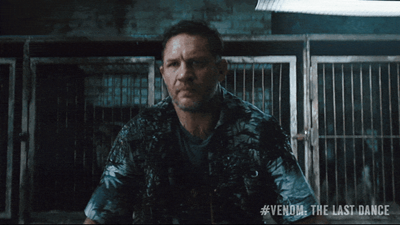 Archivo:Venudo.gif