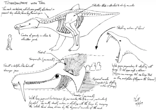 Archivo:Titan dolphin concept.png
