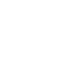Archivo:Silk Skills Icon.png