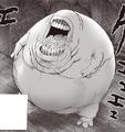 Gums