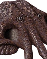 Swampus