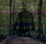 The Glitch