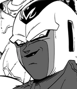 Cooler