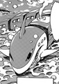 Denshark