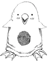 Yun