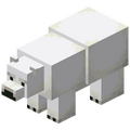 Oso Polar