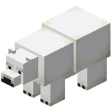 Oso Polar