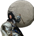 Louis XIV