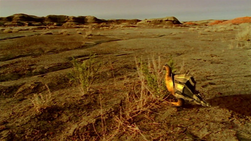 Archivo:Desert hopper2.png