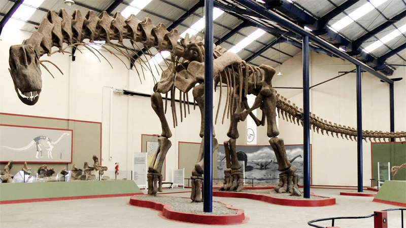 Archivo:Esqueleto de Argentinosaurus.png