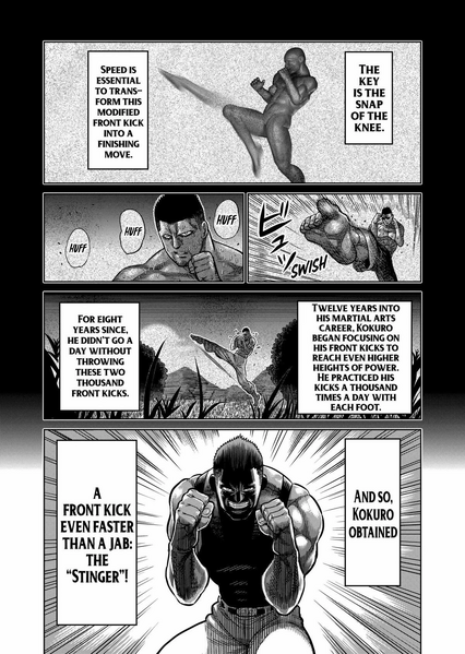 Archivo:Kokuro Stinger 2.jpg