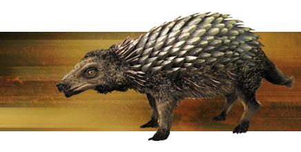 Archivo:Desert-rattleback.png