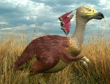 Carakiller 2