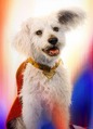 Krypto el Superperro