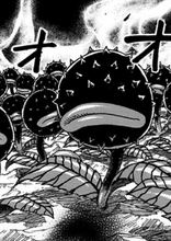 Sandoriko